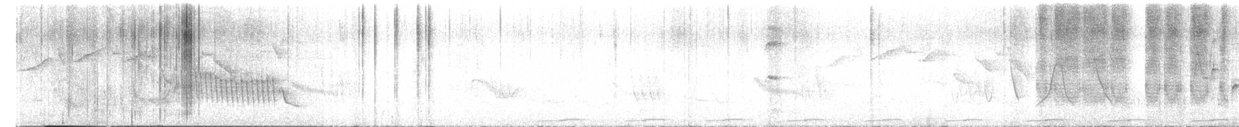 Southern House Wren - ML647841724