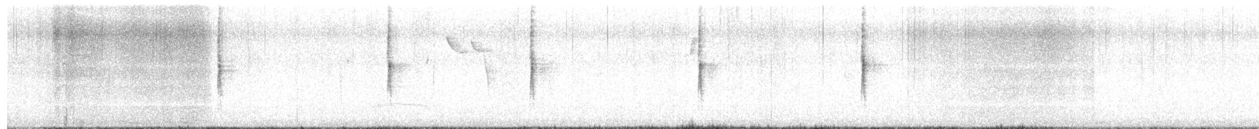 キヅタアメリカムシクイ（coronata） - ML647843455