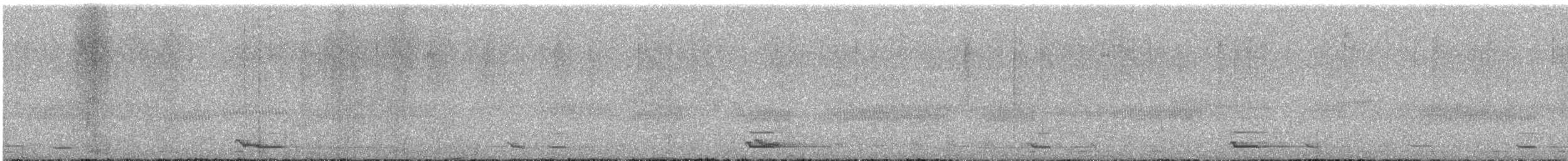 Apo-hontz zipretarra - ML647843495