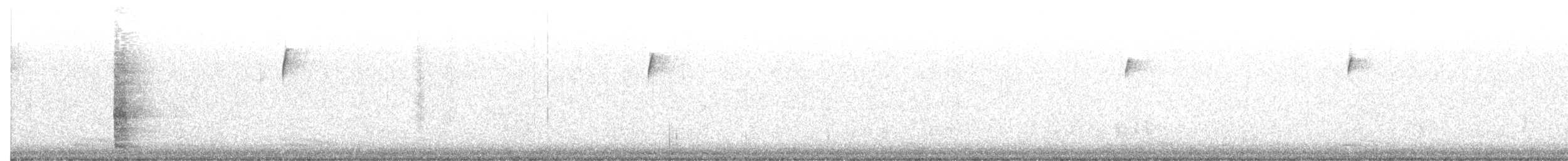 Ring-necked Pheasant - ML647843667