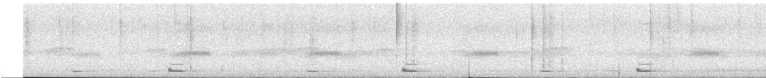 Apo-hontz zipretarra - ML647846228