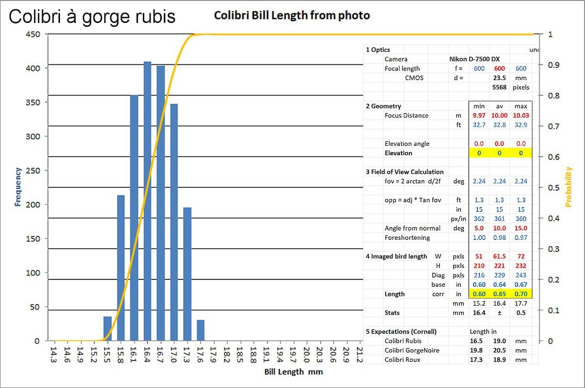 Рубиновогорлый колибри - ML647846267