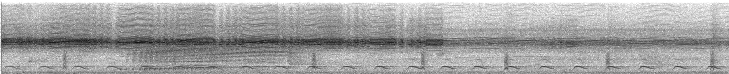 Peruvian Recurvebill - ML647846441