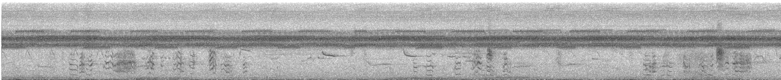 Ara de Coulon - ML647846879