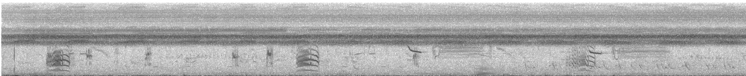 Ara de Coulon - ML647847212