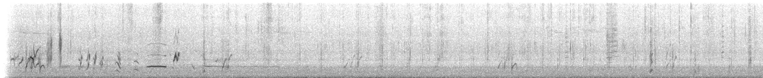 Pomatostome bridé - ML647847811