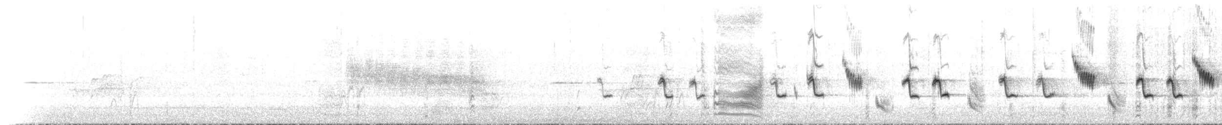 Séricorne rougegorge - ML647847816