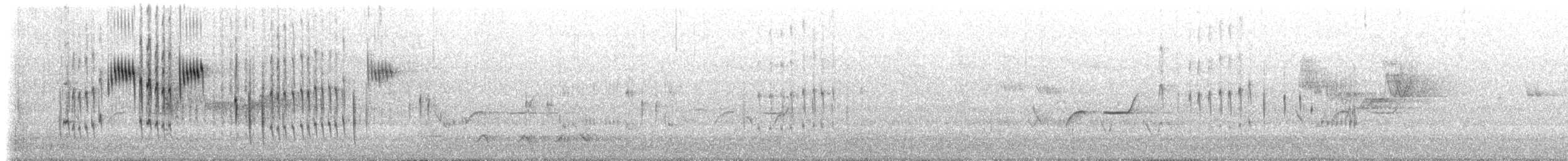 Miro à front rouge - ML647847822