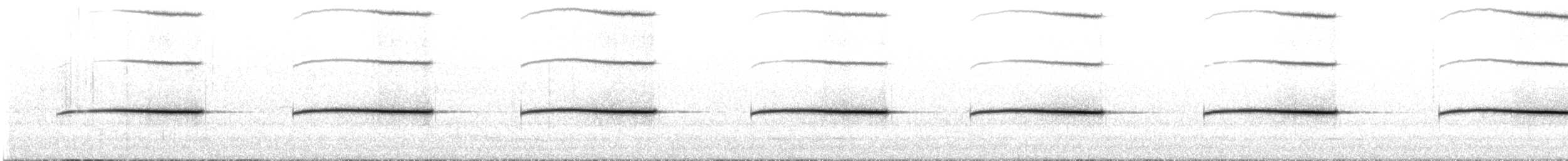 Drymode à croupion brun - ML647847833