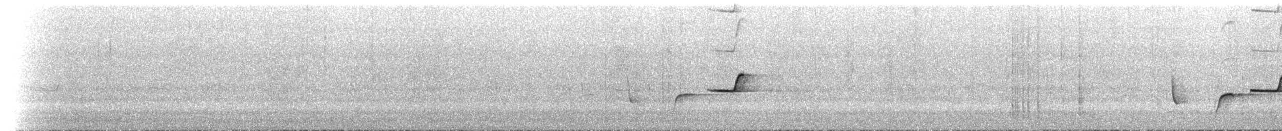 Drymode à croupion brun - ML647848026