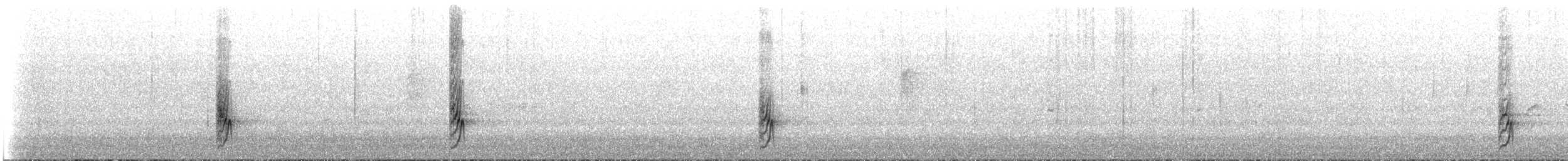 Méliphage à plumet noir - ML647848157