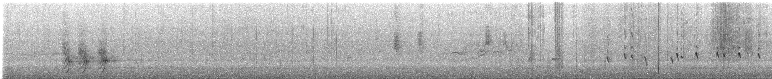 Méliphage à plumet noir - ML647848160