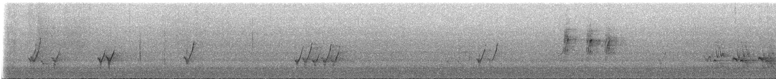 Perruche à col jaune - ML647848164