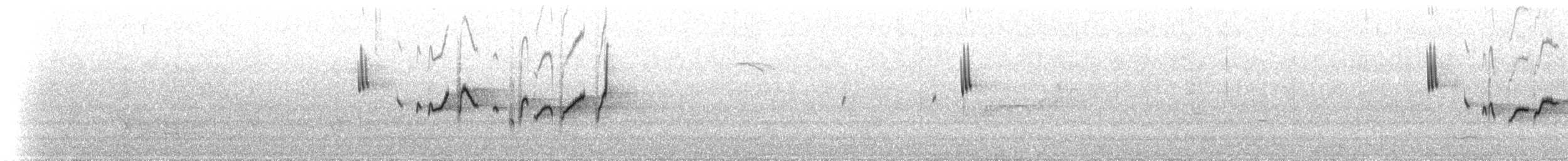 Séricorne à bec court - ML647848237