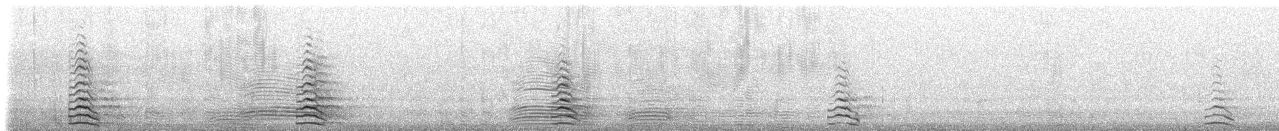 Cacatoès corella - ML647848411