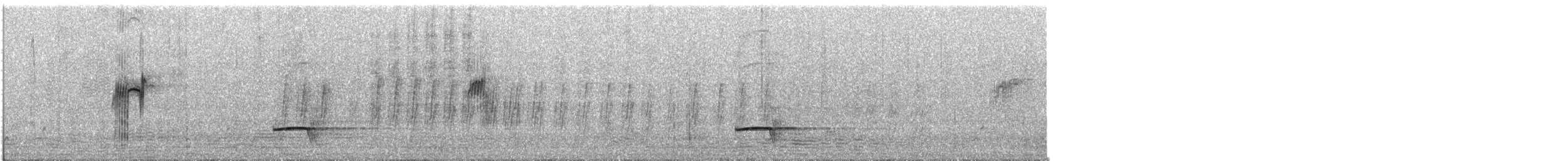 Perruche élégante - ML647848480