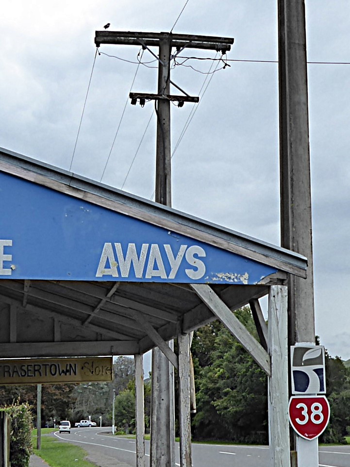 מיינה מצויה - ML647849714