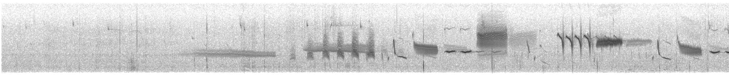 Grass Wren - ML647850179