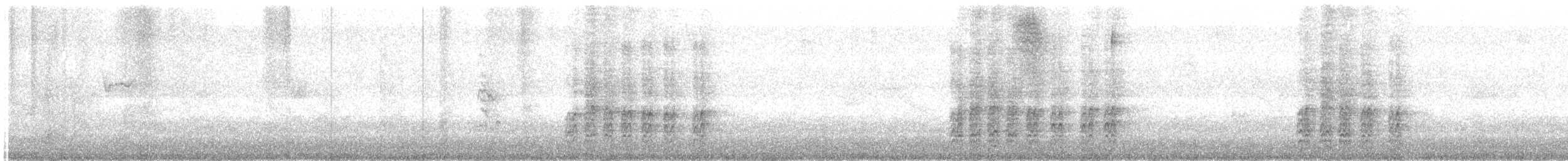 Acorn Woodpecker - ML647851392