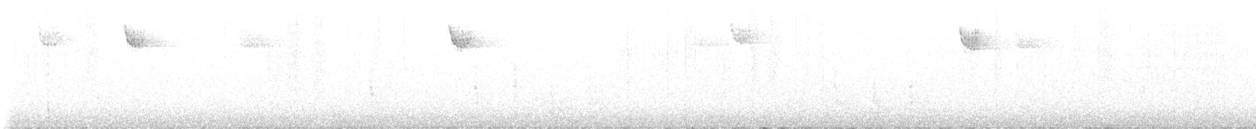 White-throated Sparrow - ML647851806