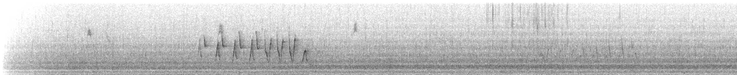 Northern Waterthrush - ML647851854