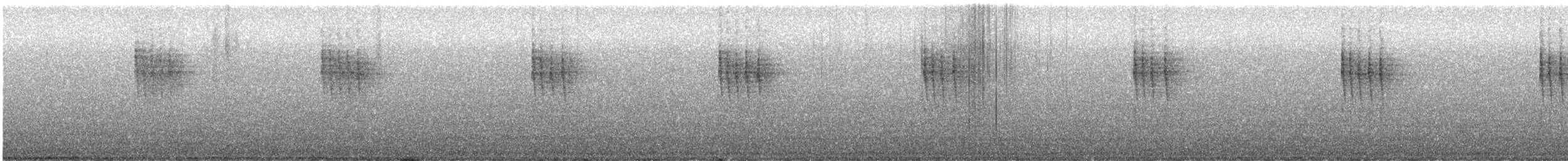 Chochín del Pacífico - ML647852437