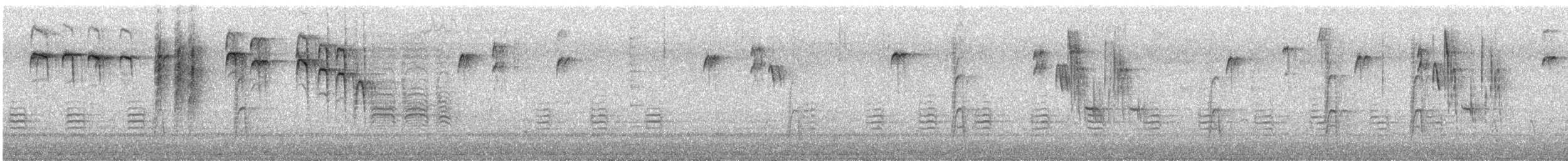 Carbonero Cabecinegro - ML647852496