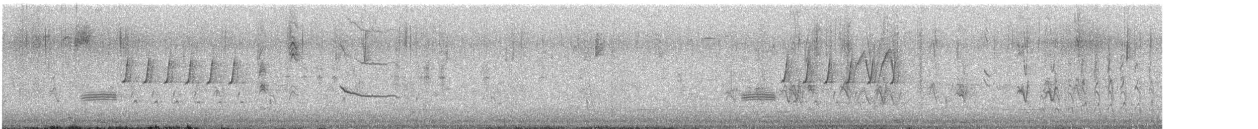 Cucarachero Colinegro (grupo spilurus) - ML647852513