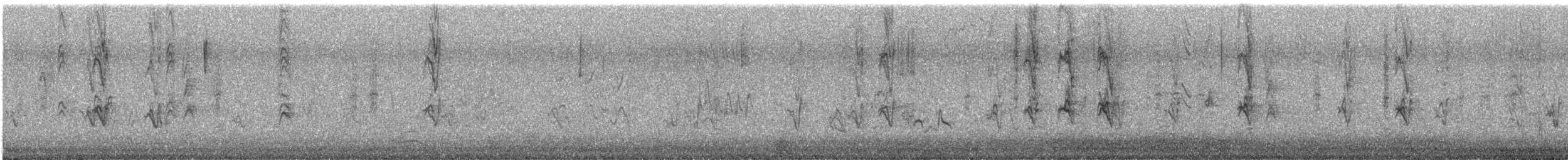 Camachuelo Mexicano - ML647852528