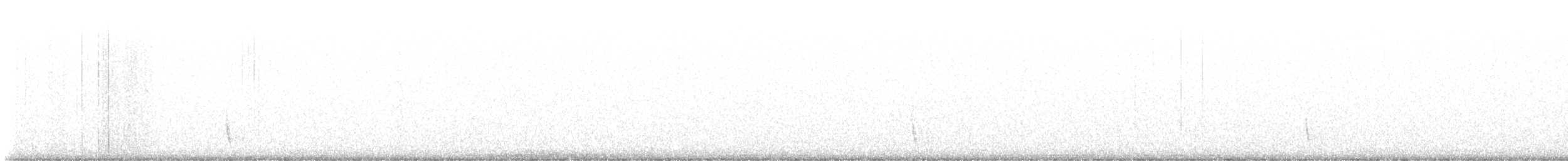 Hermit Thrush - ML647852531