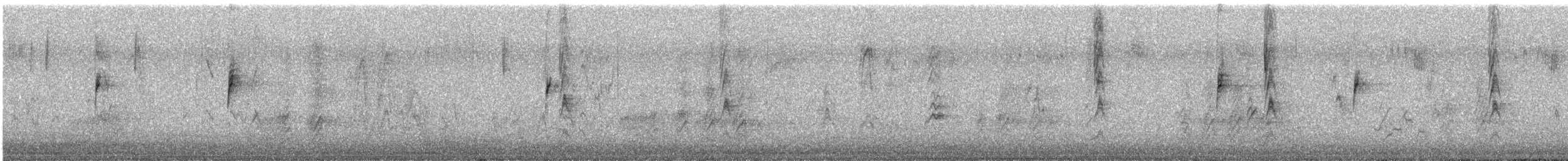 Chingolo Coroniblanco (gambelii) - ML647852550