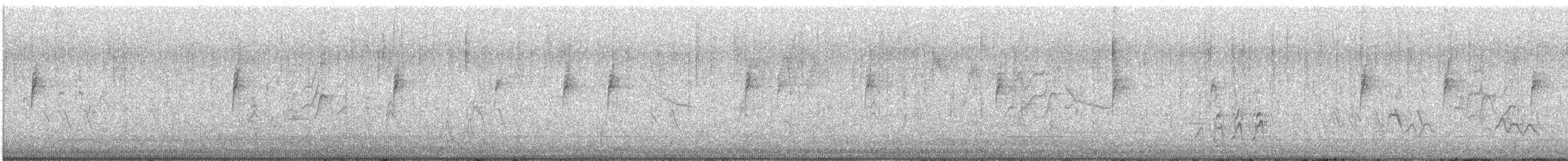 Chingolo Coroniblanco (gambelii) - ML647852557