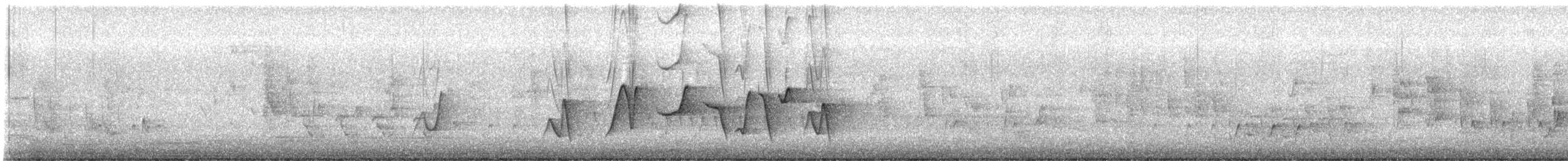 Silbador Rufo - ML647852598