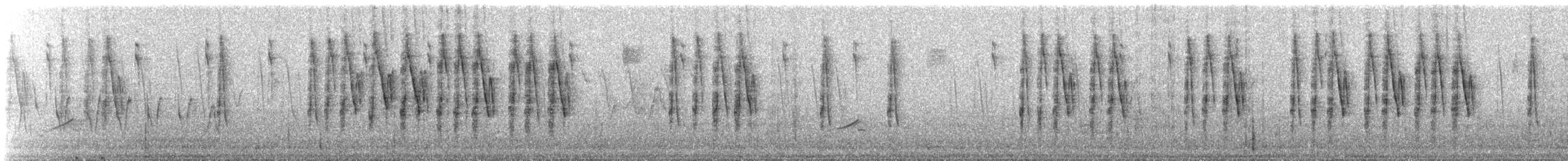 Reinita Amarilla - ML647852679