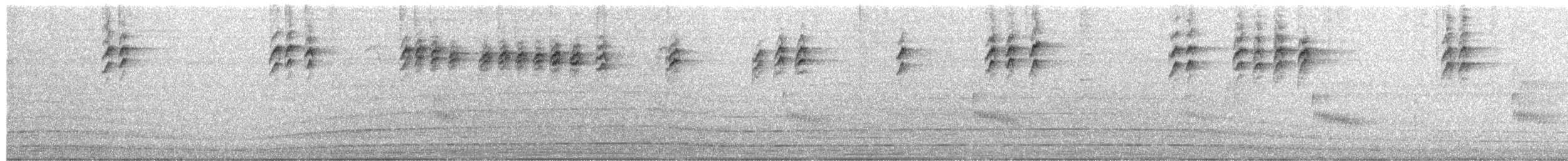 Cucarachero de Carolina - ML647852754