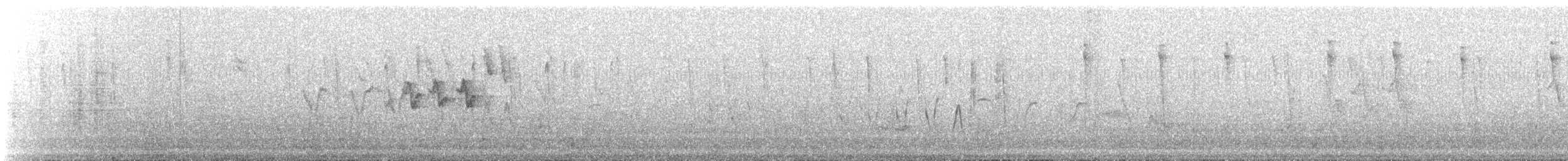 Reinita Amarilla - ML647852800