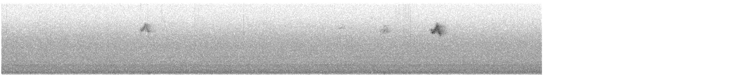 Picogordo Común - ML647852829