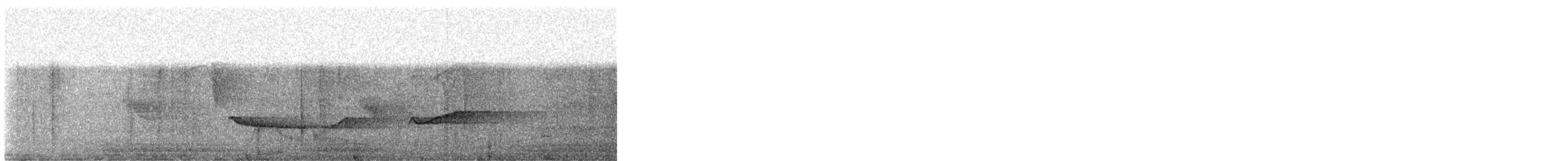 Kızıl Kanatlı Şiforn - ML647852838