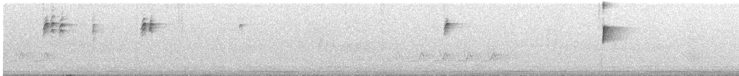 Cardenal Norteño (Norteño) - ML647852896