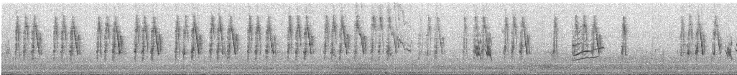 Reinita Amarilla - ML647852964