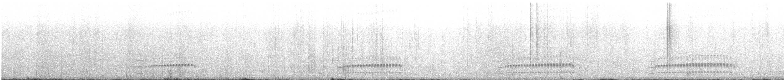 Rostbürzeltapaculo - ML647853452