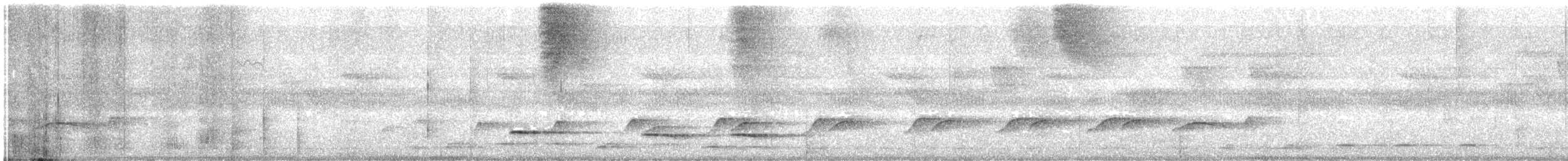 Gelbbürzel-Attilatyrann - ML647853564