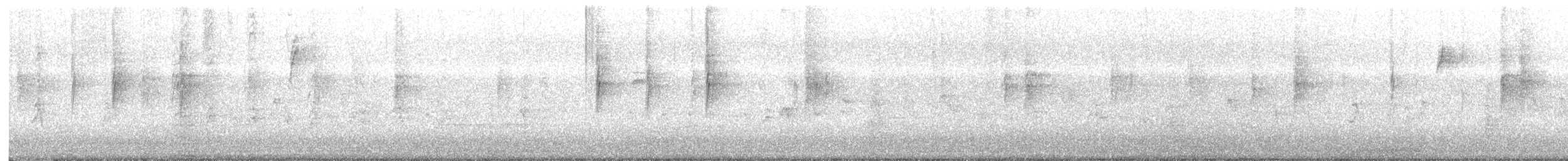 Kronenwaldsänger - ML647853794