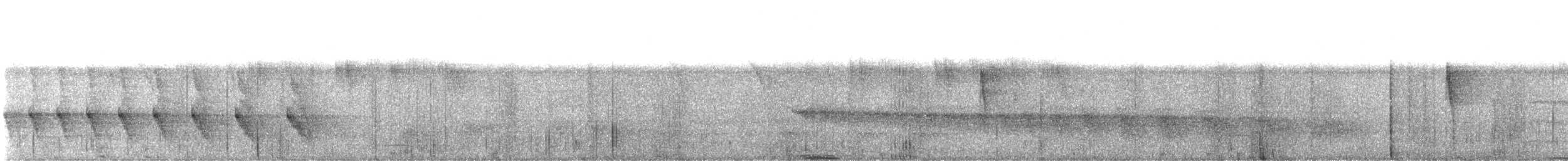 Grauband-Ameisenvogel - ML647854121