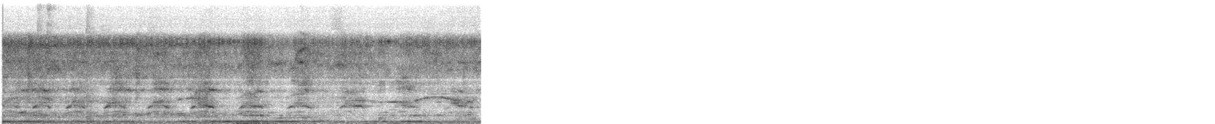 Mülleramazone - ML647854182