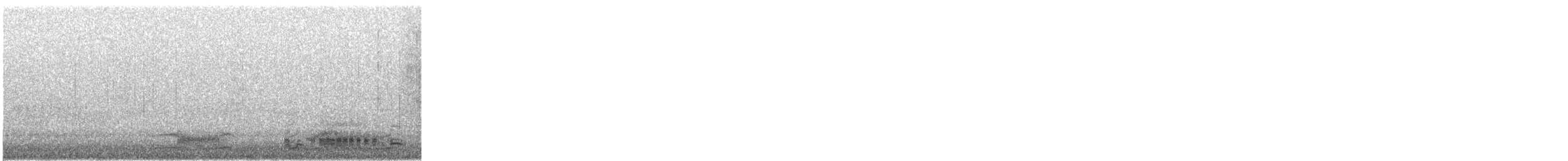 צוללן אדום-גרון - ML647855142