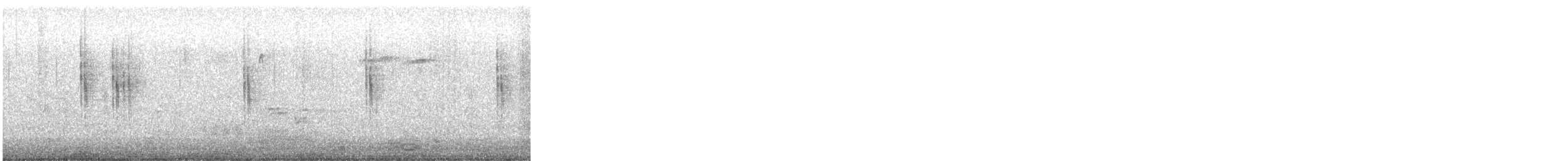 Chochín Paleártico (Británico) - ML647857103