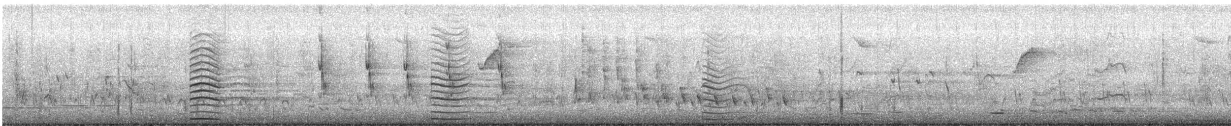 Ánade Cejudo - ML647857486