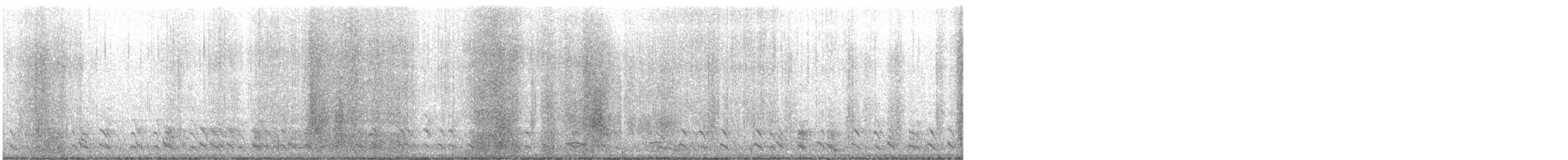 Grajilla Occidental - ML647857512