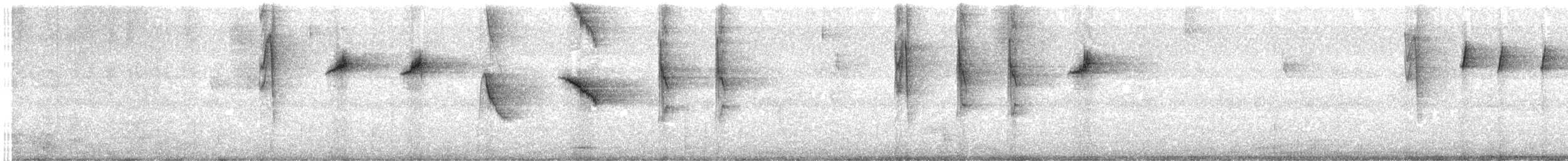 Colibrí de Cuvier - ML647858115